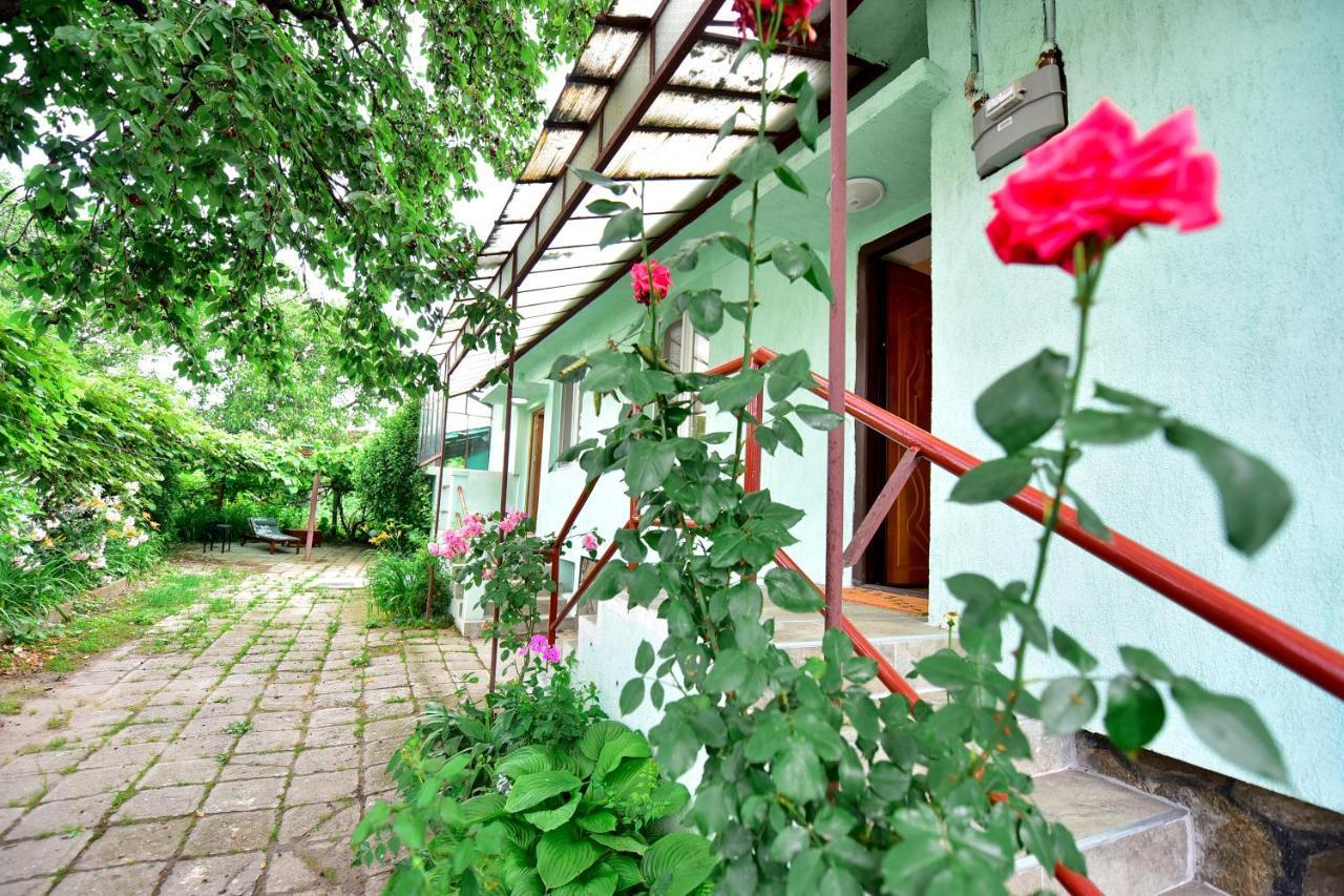 Flh - House Angelique Villa Sibiu Dış mekan fotoğraf